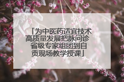 为中医药适宜技术高质量发展把脉问诊 省级专家组团到自贡现场教学授课